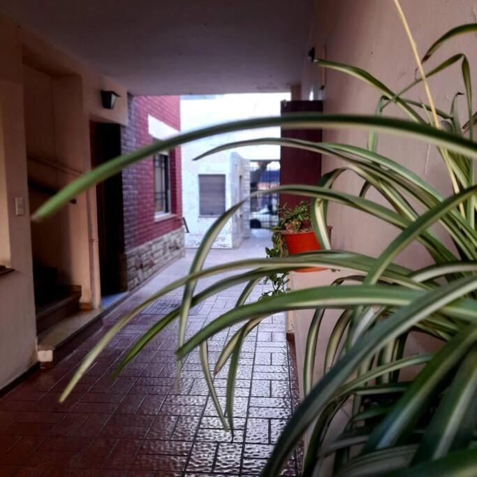 ¨Las Mayolicas¨ Hermoso Depto Con Patio Espanol Mendoza Exterior foto